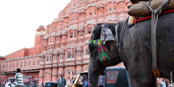 jaipur