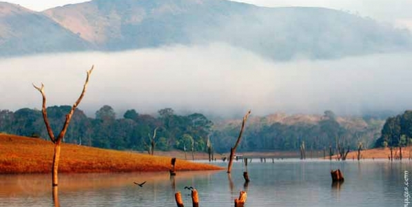thekkady-periyar
