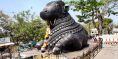 nandi